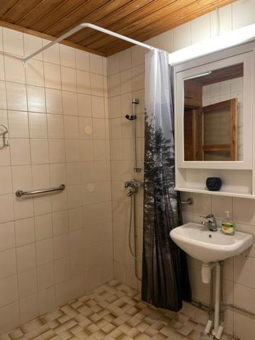 Appartement Tiitun Tupa Ivalo Extérieur photo